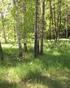 Översiktlig naturvärdesbedömning inom planområde för Vista skogshöjd, Vistaberg