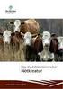 Rapport över djurläkemedelsanvändning för år 2007
