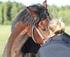 Hästen som terapeutiskt verktyg - om ridterapi, välbefinnande och livskvalitet