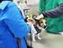 Vaccination av hund och katt i Sverige