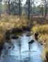 Sandvikens kommuns naturvårdsprogram