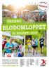BLODOMLOPPET ÖREBRO 20 AUGUSTI 2015. www.blodomloppet.se