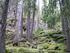 Strategi för formellt skydd av skog i Dalarnas län. bildande av naturreservat, biotopskydd och naturvårdsavtal
