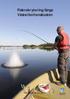 Fiskrekrytering längs Västerbottenskusten