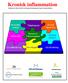 Kronisk inflammation. Inbjudan att söka medel för forskning, kunskapsgenerering och samproduktion