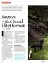 Breton stor hund i litet format TEXT & FOTO OLLE OLSSON Lennart Berglund från Forsa