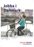 Jobba i Danmark. Øresunddirekt visar vägen till den danska arbetsmarknaden