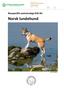 Norsk lundehund. Rasspecifik avelsstrategi RAS för. Norsk lundehund. Foto Ulf Ahlqvist.