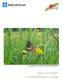 Brun gräsfjäril (Coenonympa hero), Värmlands landskapsfjäril. Naturområden områdesbeskrivningar