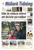 Här är risken störst att du kör på rådjur