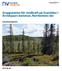 Gruppstation för vindkraft på Granliden i Arvidsjaurs kommun, Norrbottens län
