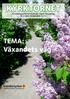 KYRKTORNET. Församlingsblad för Söndrum-Vapnö församling Nr 3 inför SOMMAREN 2011. TEMA: Växandets väg