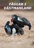 FÅGLAR I VÄSTMANLAND Nr 2-2011 Nr 1-2012