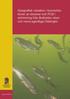 Rapport 2005:23. Geografisk variation i koncentrationer av dioxiner och PCB i strömming från Bottniska viken och norra egentliga Östersjön