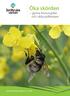 Öka skörden gynna honungsbin och vilda pollinerare