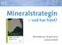 Mineralstrategin vad har hänt? Mineralforum 28 april 2014 Joanna Lindahl