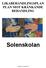 LIKABEHANDLINGSPLAN PLAN MOT KRÄNKANDE BEHANDLING. Solenskolan. 2014-08-22 rev 2016-03-21