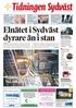 Elnätet i Sydväst dyrare än i stan