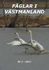 FÅGLAR I VÄSTMANLAND Nr 1-2011