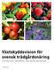 Växtskyddsvision för svensk trädgårdsnäring