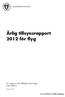 Årlig tillsynsrapport 2012 för flyg