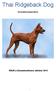 Thai Ridgeback Dog. Domarkompendium