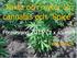 Fakta och myter om cannabis och Spice