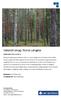 Välskött skog i Norra Långsta