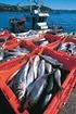 Bevarande av fiskeresurserna genom tekniska åtgärder *