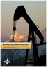 Bokslutskommuniké 2010 Caucasus Oil AB (PUBL) 556756-4611. För räkenskapsåret 2010-01-01 2010-12-31