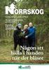 Utformning av skogsägarstrategier hos Norra Skogsägarna med hjälp av Heureka PlanWise