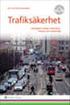 Ett gränsöverskridande informationsutbyte om trafiksäkerhetsrelaterade brott