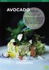 AVOCADO AVOCADO- OCH selleriguacamole