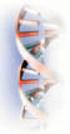 B ProbeTec ET Mycobacterium tuberculosis Complex (ctb) Culture Identification Reagent Pack