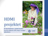 HDMI projektet. RC Syd Karlskrona - EyeNet Sweden Susanne Albrecht, RN, Project manager