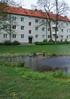 Exotiska träd i den hårdgjorda staden En studie av lämpliga arter utifrån stadens klimat- och ståndortsfaktorer