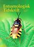 Nya svenska provinsfynd av nattsländor (Trichoptera)