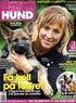 Härliga hund är en bred familjetidning för alla som älskar hundar.