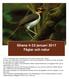 Ghana 4-23 januari 2017 Fåglar och natur