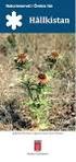 Hällkistan. Spåtistel (Carlina vulgaris) Foto: Arne Holmer