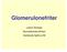 Glomerulonefriter. Lysann Essinger Njurmedicinska kliniken Danderyds Sjukhus AB