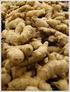 Ingefära (zingiber officinale)