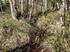 ÅKERSTRÖMMEN. Pulsåder i storslaget kultur- och naturlandskap i södra Uppland. En kort presentation av Storstockholms största landsbygds- och skogsälv