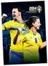Årsberättelse för 2014
