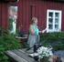 Sommarblommor i Gävle. Program för vår-, sommar- och höstflor