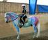 WESTERN RIDERS ASSOCIATION OF SWEDEN