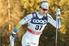Hälsingeleden på skidor 2016 PRELIMINÄR STARTLISTA