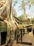 idag ett spännande turistmål! Templet Ta Prohm i Angkor håller på att övertas av naturen på detta spektakulära sätt. av Lars Erik Gewalli