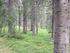 Virkesrik skogsfastighet i Håsjö BRÄCKE BY 1:10, BRÄCKE BY 1:11,