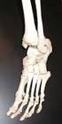 Skelettet; Osteologi